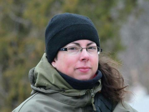 �������� ����