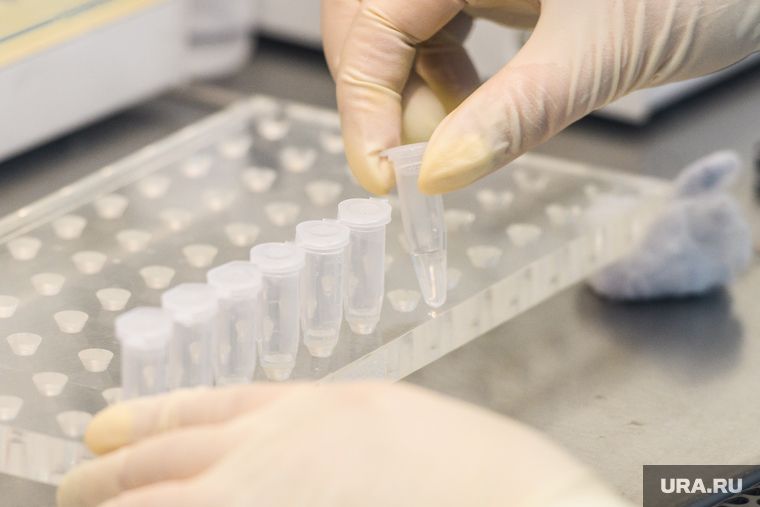 �������� �� ��� ���: ������� �������� ��������� � ���������