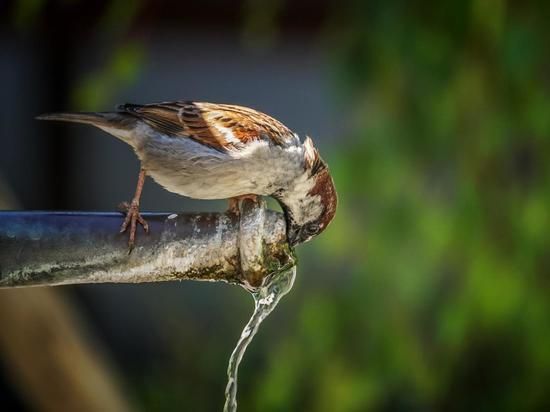� ������������� ���������� ��� ���� ����� ���������