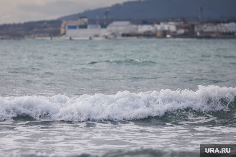 �������� ����� ������ �� ��������� ������� ��������� ����