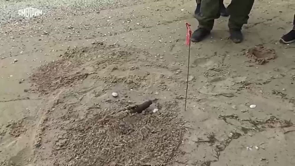 � ���������� ������ �������� � ���������� �������������� �������������� ����� � ������������ ��������� ��������� ����. ����������� �������� ���� ����������� ����� 12 ����� ������������� ���������, ��������� ����������� �������