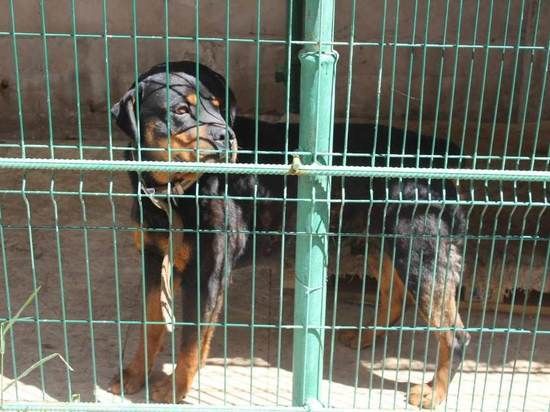 ��� �������� ������� ��� �� ���������