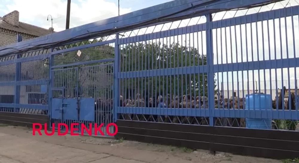 � ��� ������� �������� ����� ���������� ������� �������� �� ���������