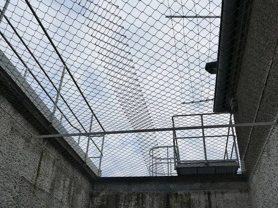 ������ ������������� ��������� � ������ �������� � ��������� ���������