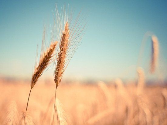 ������ ���: ��� �������� ����� ����� � ����� ���������