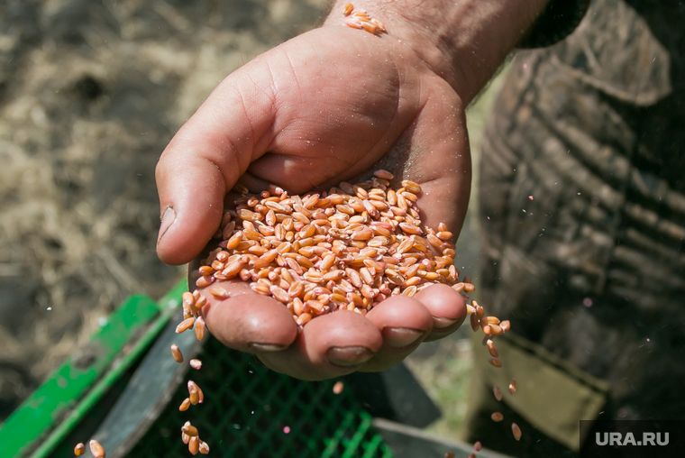 ������ ���: ���������� ������ ������ ����� ����� ��� �����������