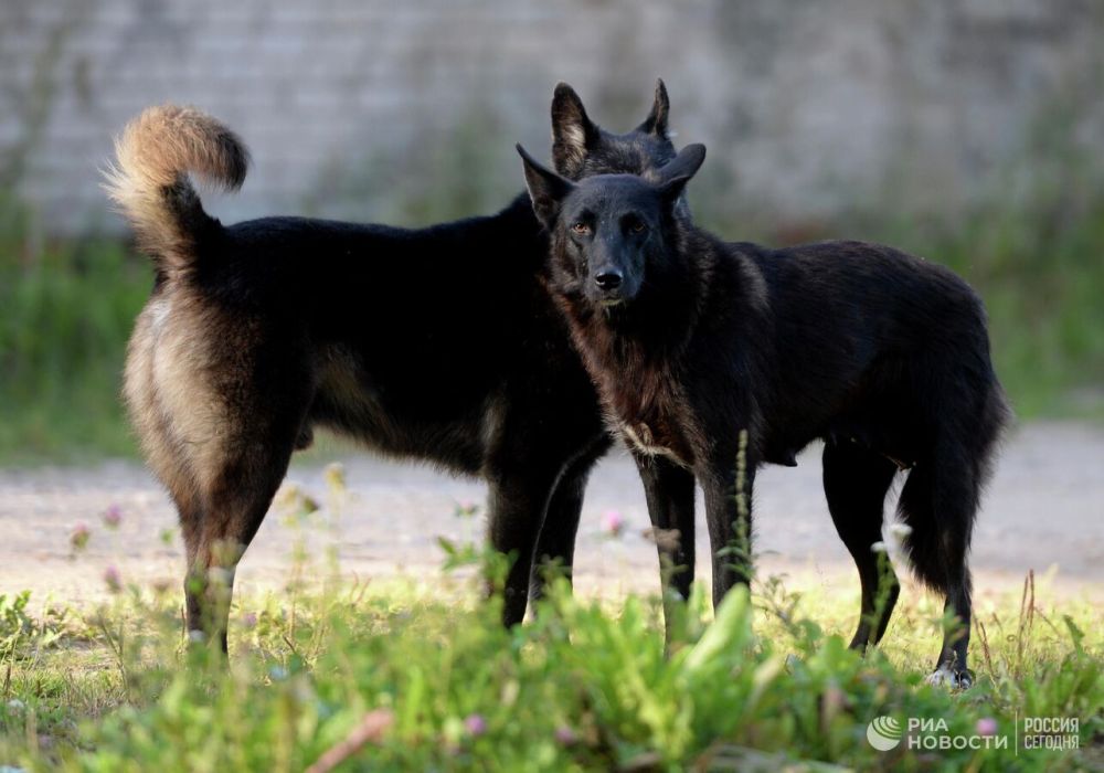 ��������� ��������� � ��������� �������� ��� ��������� �����