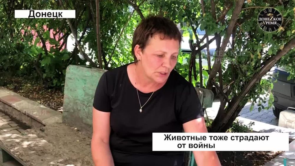 �������� �����, ���� ����: ��� �������� ����� ��� ��������