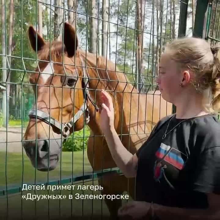 ���� �� ��������� ����������� �� ����� � �����-���������