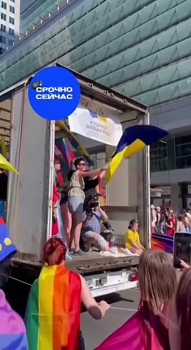 ����-������ ������ ������� � �������
