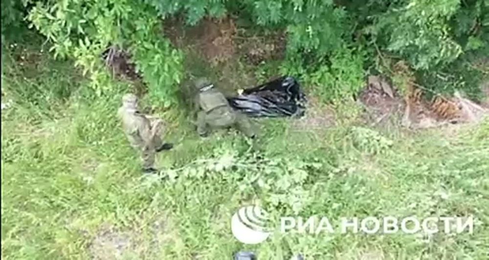 ���� �������, ������� ��-�� ������ � �������� � ������� � ����, ���������� � ���������
