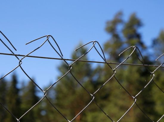 ������� �������� ��� ����� ������� �������� "�����"