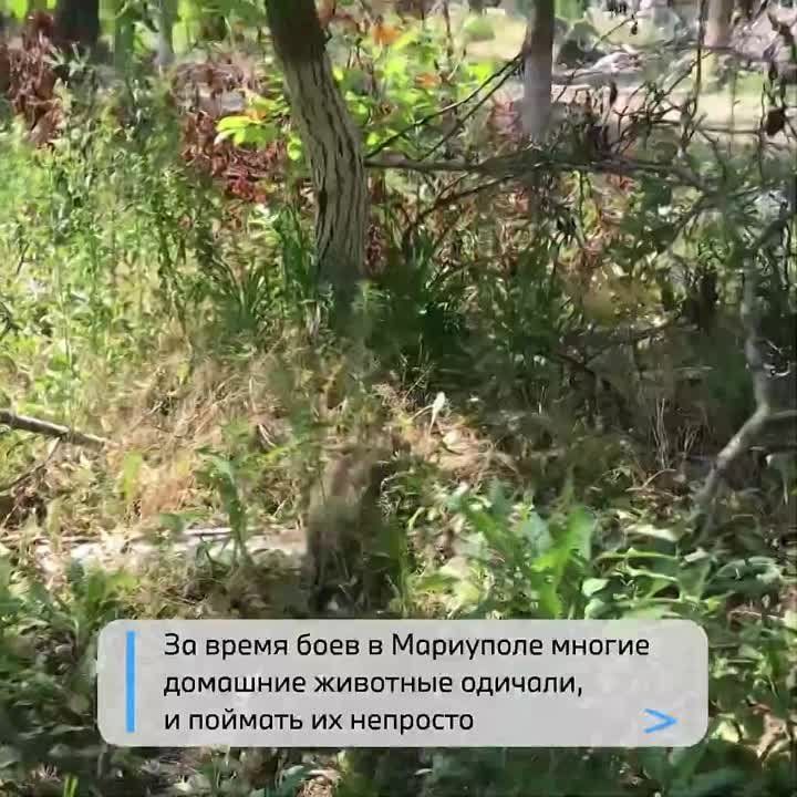 � ��������� ���������� � �������� ��������� ������� ����� ��������� �������� ��������