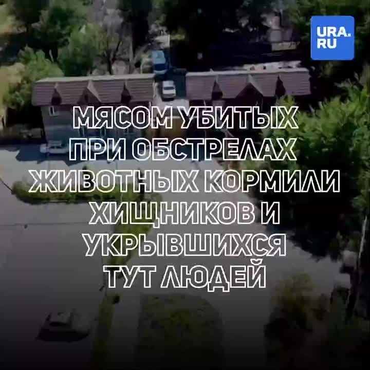 � �������� ��������� �� ����� ��������� ������� ��������, ����, ������� � ��������
