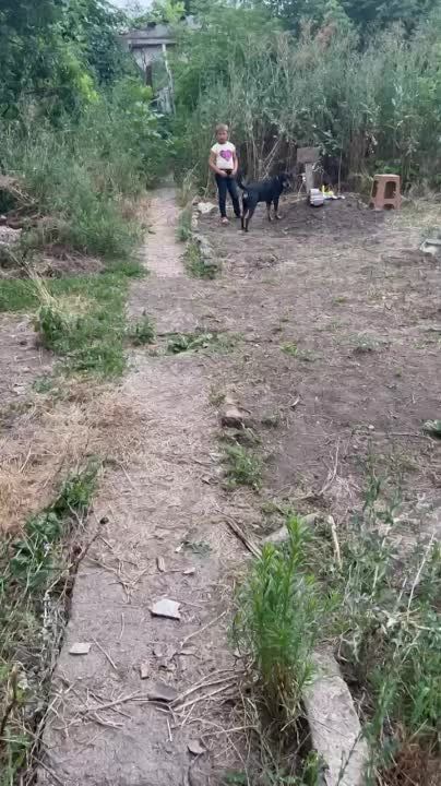 ������� ���� ���������� ��� ������ ������ ����, �������� ���������� ���������� ���������