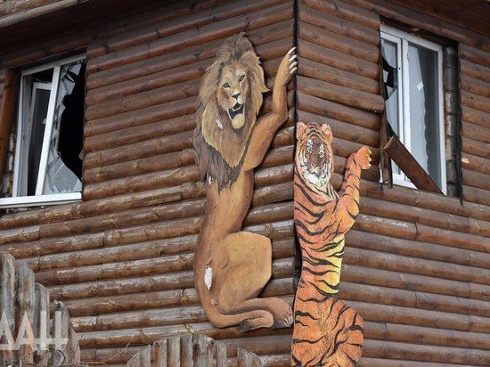 ��� ��� ���������� ����� ������ �������� ���������