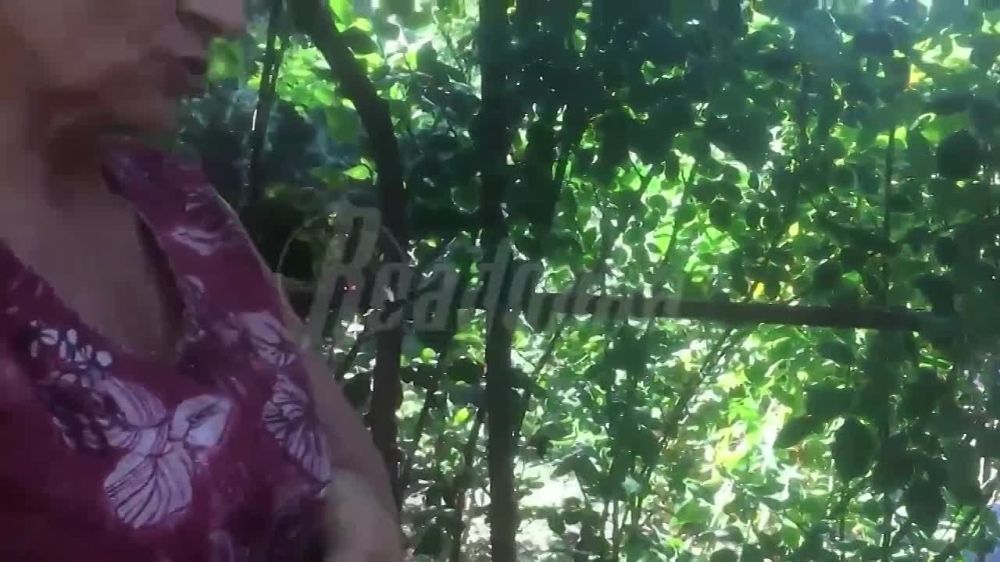 ����� ��, � �� ���� �������� � ��� ������ � ���� ������� ���� ������������ ����������, ��� �� ���� ����� ����� ����� ������