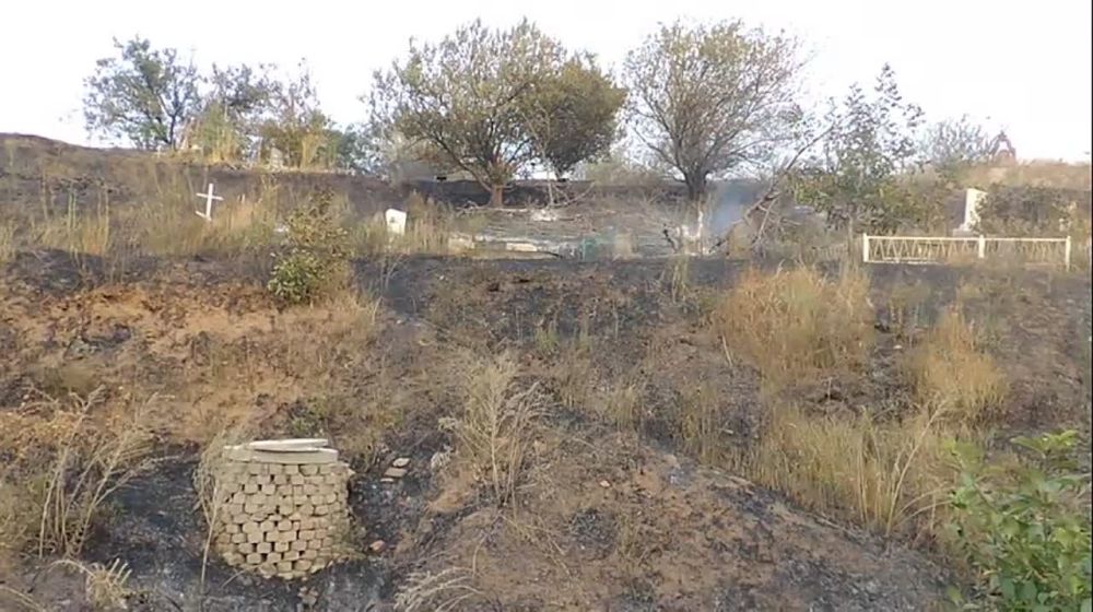 11 �������� ��� ����������� ��������� ����� ���������� �� ����������� ���������