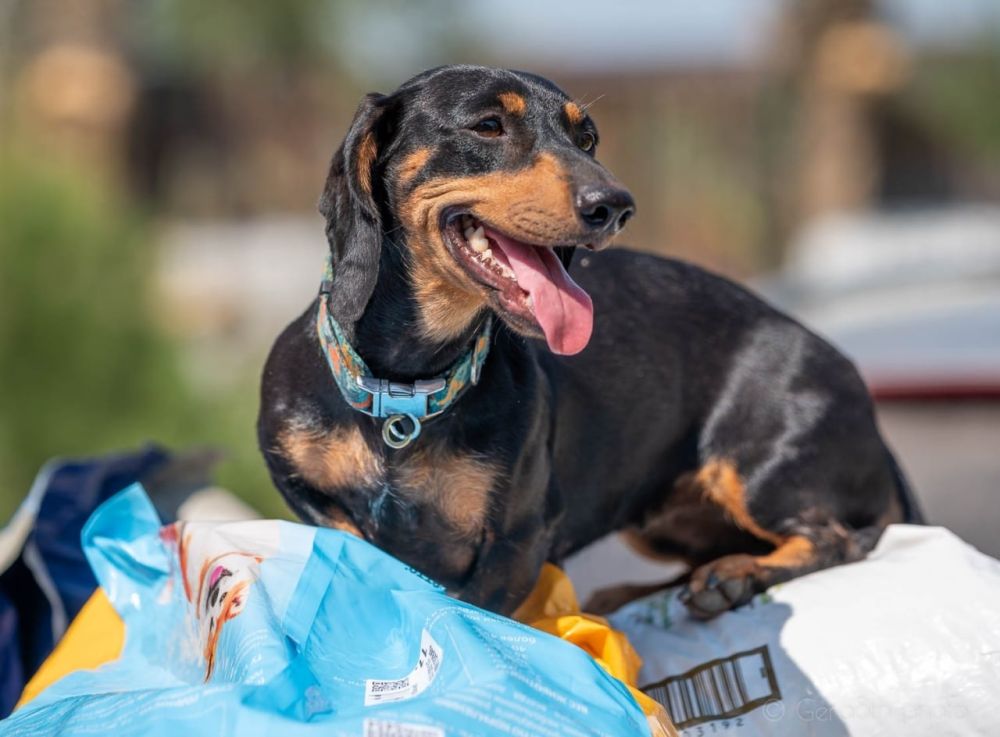 ������������� �������� �� �������� ������ ��������� � ������� �������� � ����������� �������� �������� ��������� � ��������� ��� ����� ������ ��� ����� � �����