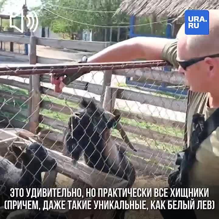 ���� ������ ��������. ������������� ������� ���� ������, ���� �������� ���� �� ������������. ����� ������ � ��������������� URA.RU ���������� ���������� ��������
