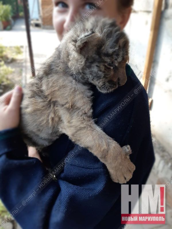 � ������������� �������� �������� ������ ��������