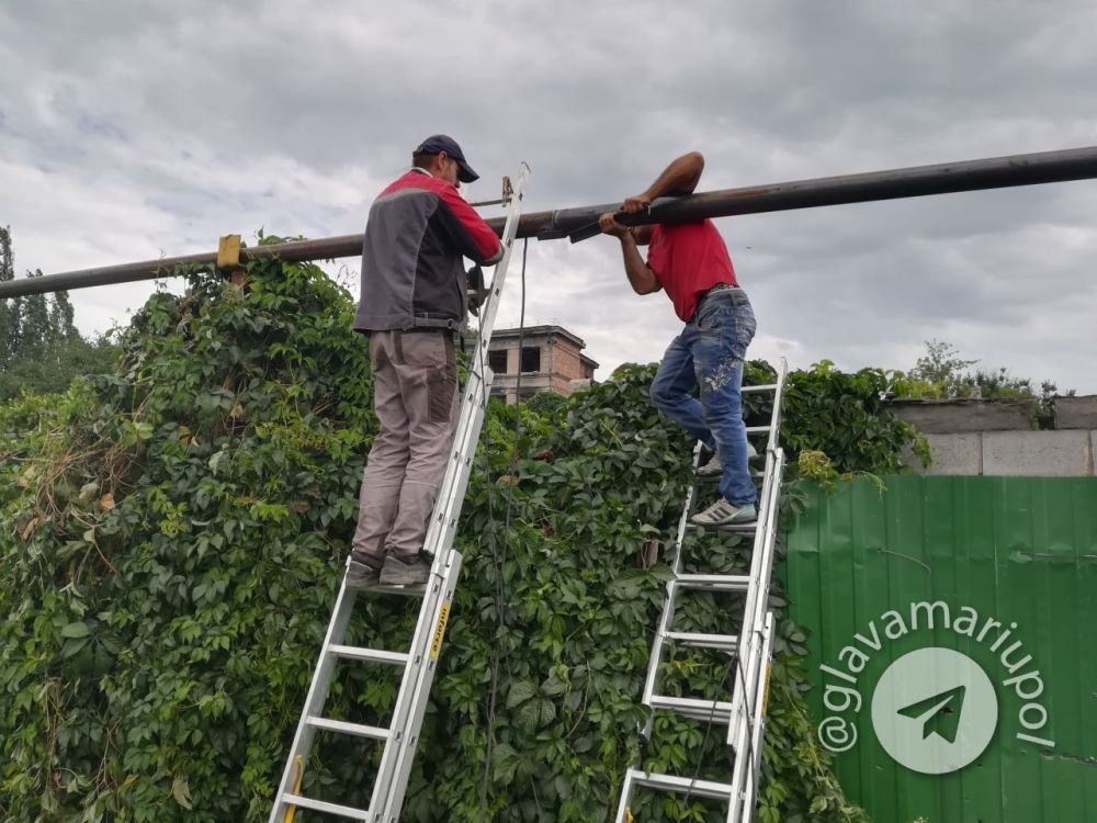 ���������� ��������: ��������� � ��������������� ������ ��������� ��� ������ ��� ���������� ����������� ��������� ������������ � ������������� ������������ ��������� ��������������