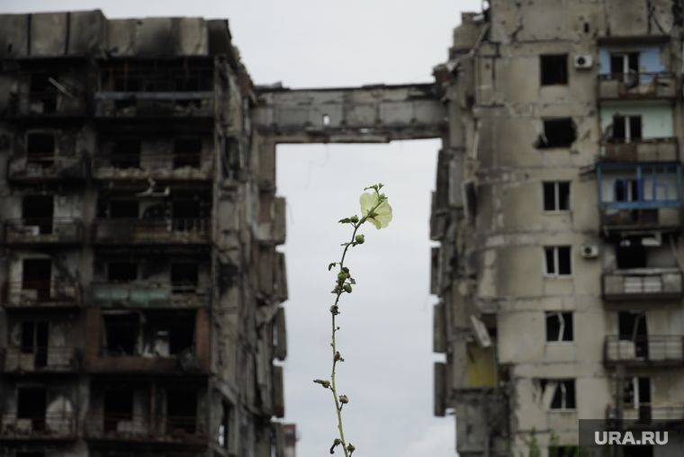 ���������� ���������, ������� ������ ����� ��������, ������������� �� ����������� � ����