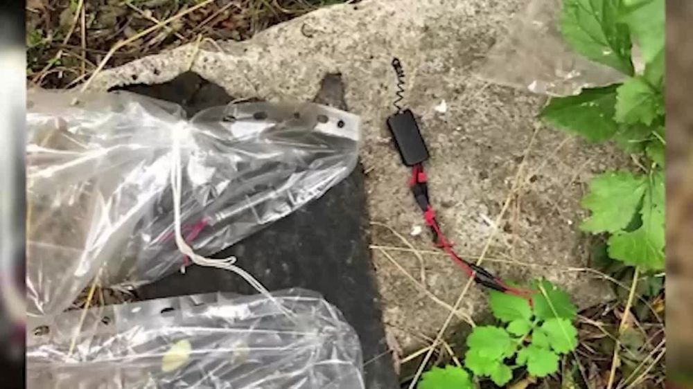� ��������� ��������� 24-������ ������� �� ������� ��������, ������� �������� �������� ������ �� �����������, �������� � ��� ���. ����� �� ������� �������� ��������� ���������� �������� �������� ���������� � ������ ������� �������������