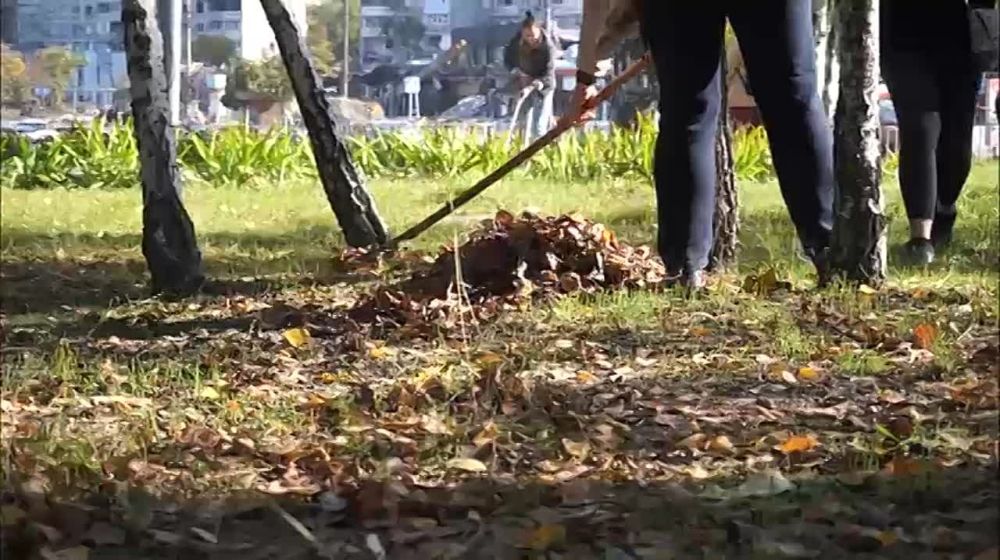 ���������� ��������: ����������� ��� �������� ���������� � ��������� ������� � ������