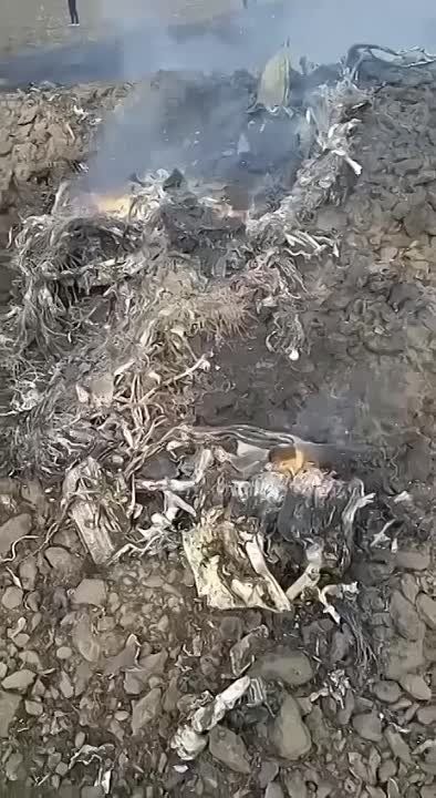 ��� ���������� �������� ����� � ���������� �������, ����� � ������������ ����� ����������� ���, ����� ������� �������
