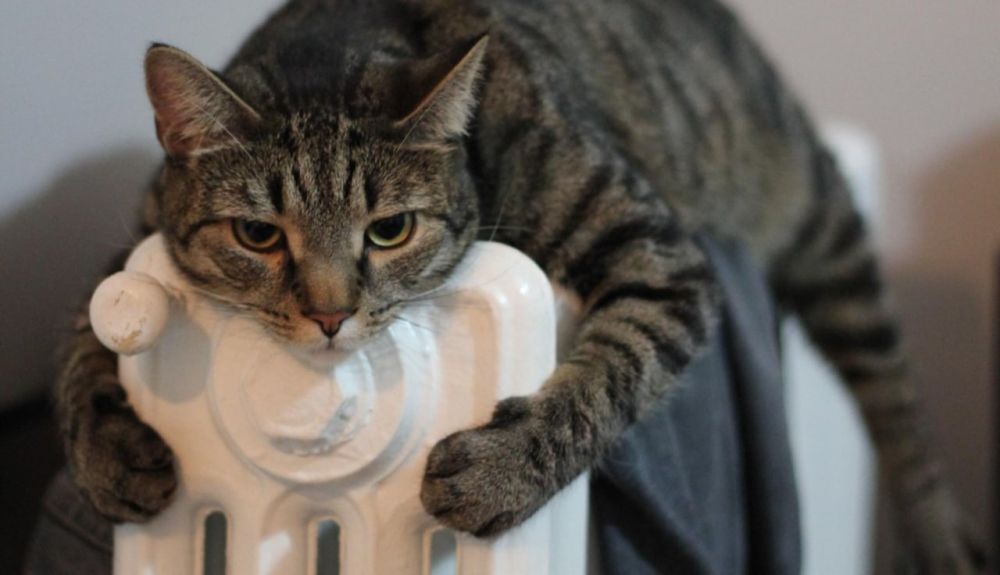 ��������� � ��� ����� �������� ����� ���� �������� ����