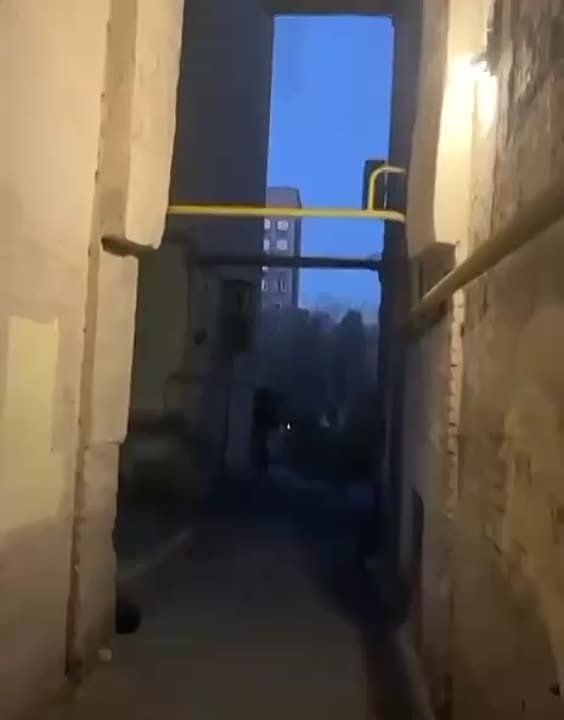 ����� ������������ ������� ������� ��������� �� �������� �������� ���������� � ������� ���������� ������� ������������, ��� ������� ��������, ������� � ���������� ������