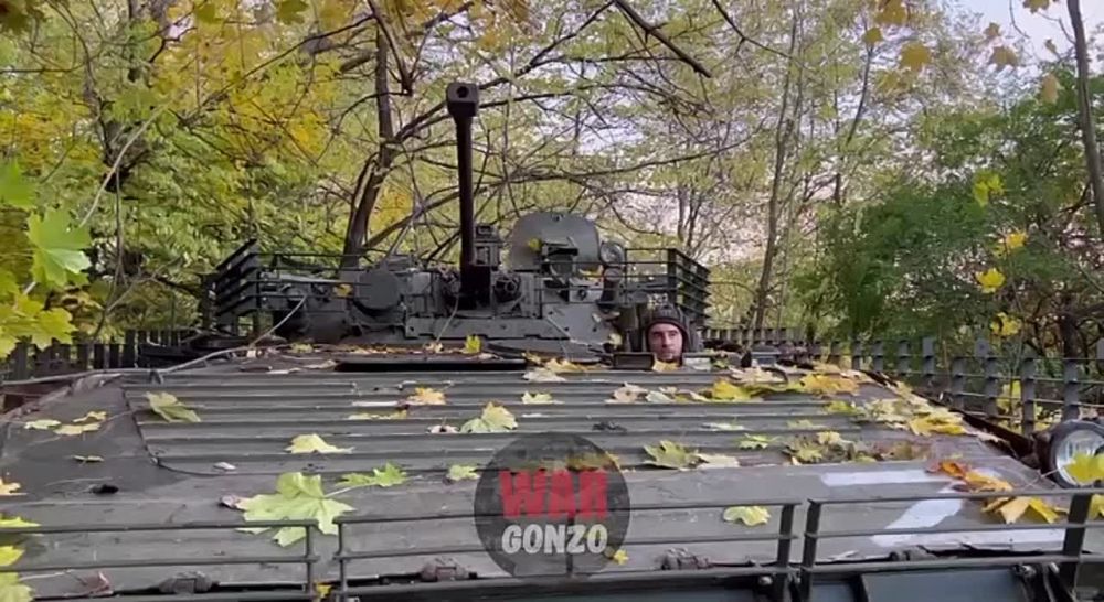 WarGonzo: ����� ������ ��������� ��� ����������� � ��������