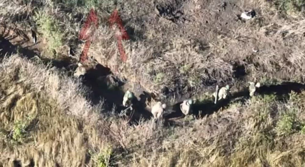 ���� ���� ���������� ���� ������ �������� ���������� ��������� ���������