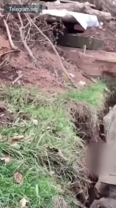 ��� �������� ������ ������� � �������� � ����� �� ������� ������� ���������� ��������