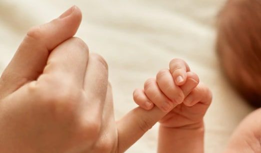 ������ �������� ����������� ������������ ������� ������������ �����������