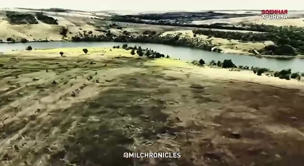 ����� �����������, ��������, ���������, ����� Telegram-������ ����� �������� @SonOfMonarchy