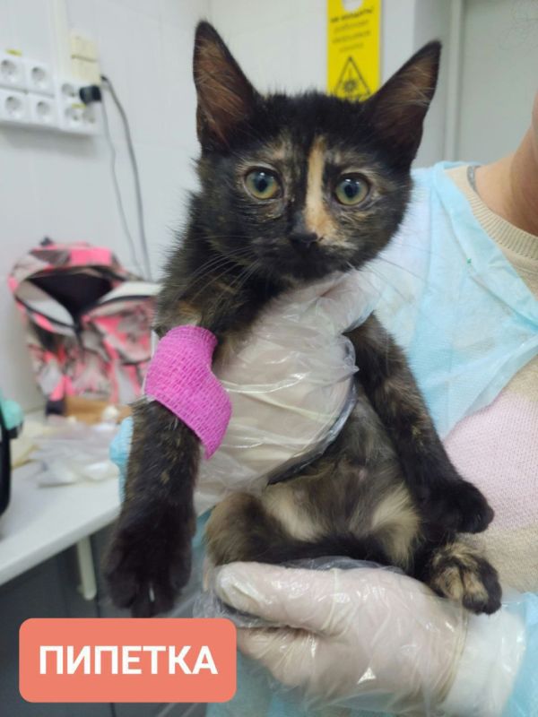 ���� ���������: ���������!. � ���� ���������� �������� �� ���������� ��� ��������� ������������ ������� �� ���������. ��������� � ���������� � ������� �����!