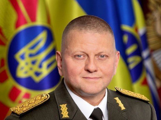 СК возбудил дело против главкома ВСУ Залужного