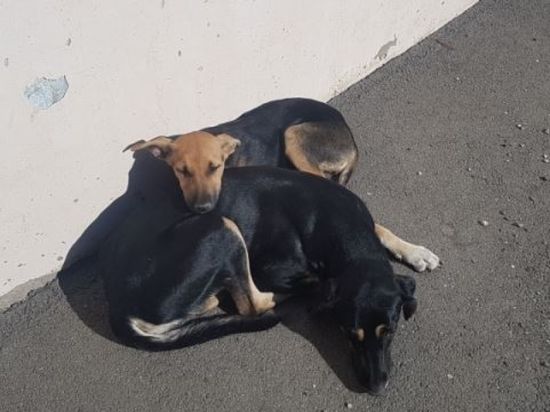 ����� ����� ������� ��������� ��������� �������� �� ���������