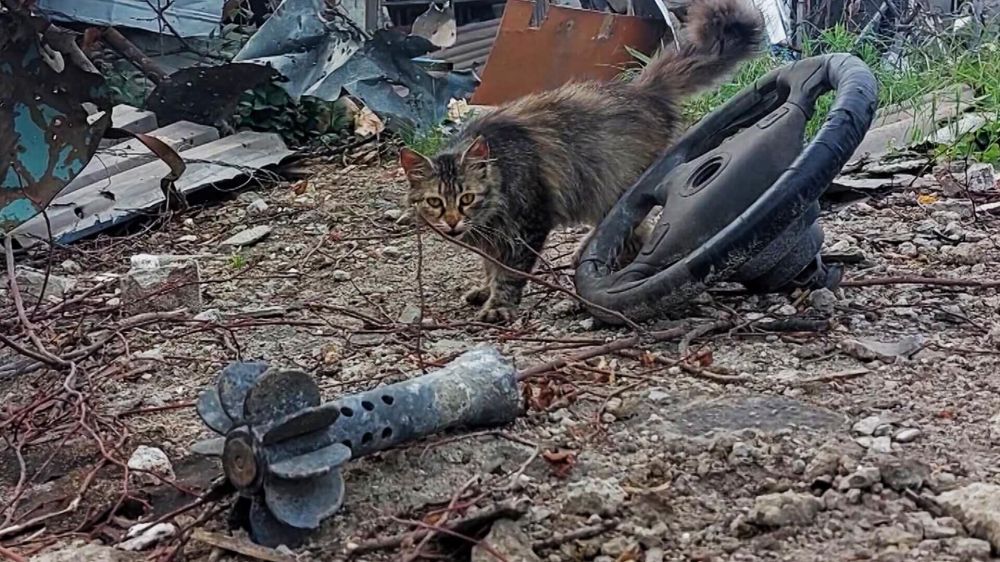 ������� ������� � ������� ������� ���������� � "���������" ������� �������