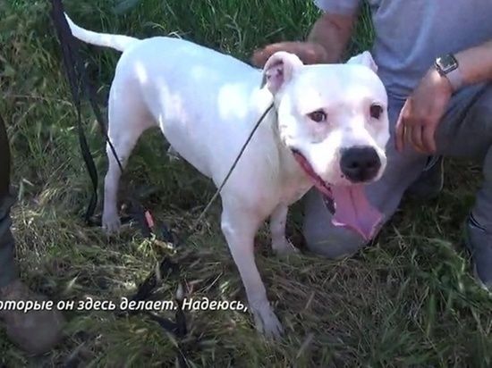 ������� ��������� �� ������������������� ��� �������-�����