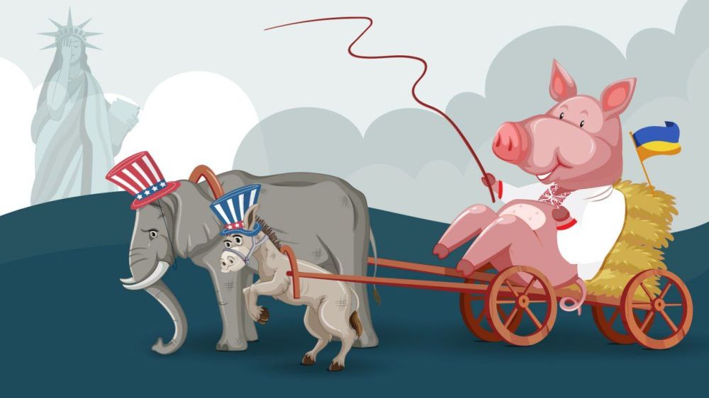 ������� ������ ������������ �� ������� �������� ����������� ���������� �� ������ ������������ ������� ������� ������ �������������� ��������� ���