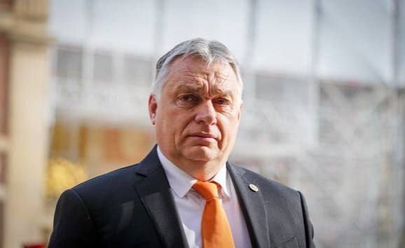 �� ��������� �����������, �������������