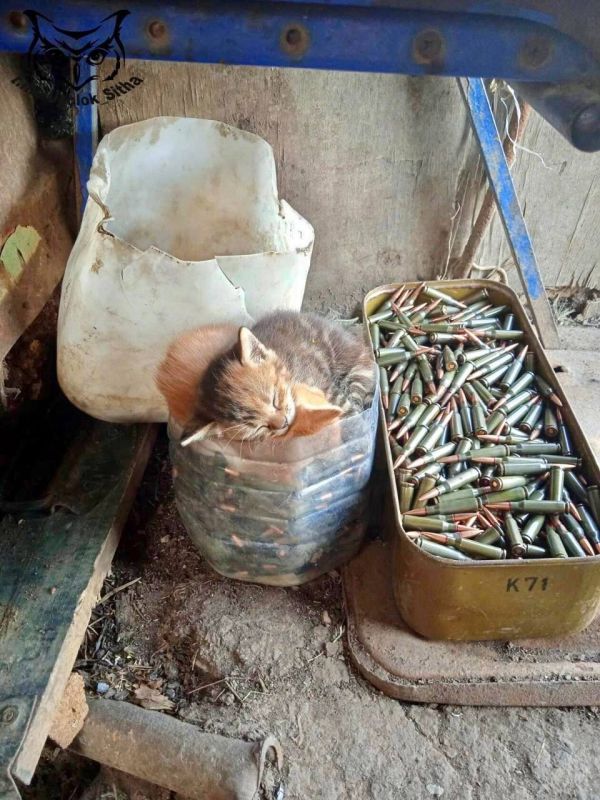 ������� ����������: ��� ����� ������� #������������ ���� � �����