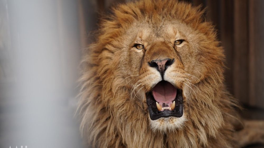 �������, ��������, ����, ������� � ��������: � ������������� ������� ������� ����� �������� ������ �������� �� ����� ����