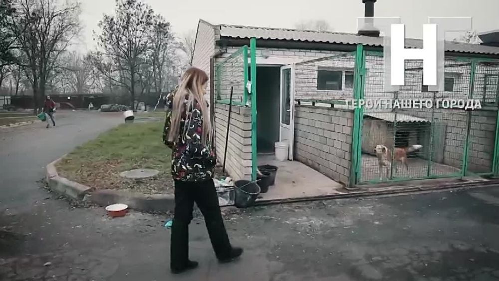 ����� ������ ������. ���� ������. ������
