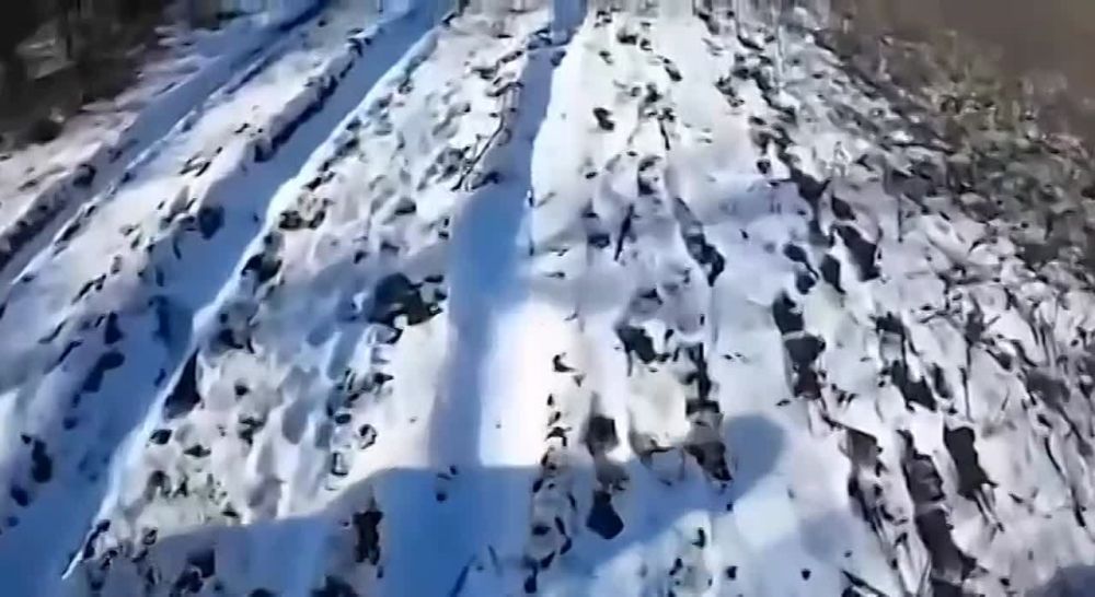 �������� �����: "Let's go, let's go! �����!" - ������� �� ���������� ������ ����� � ��������?