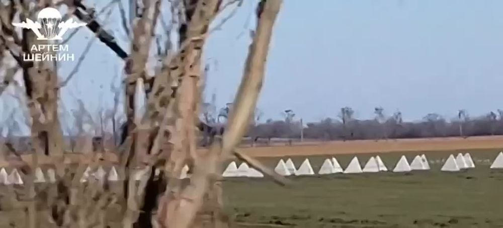 ���� ������: �� ������ ���������� � ���, ��� � ����� ����� � ����� �� ������� ����������� ���