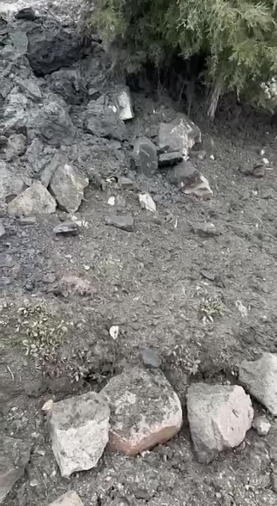 ��������. ����������� ��������